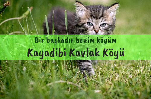 Kayadibi Kavlak Köyü